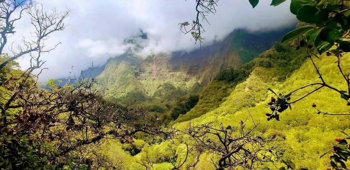 Ma'Alaea Banyans 209 Βίλα Wailuku