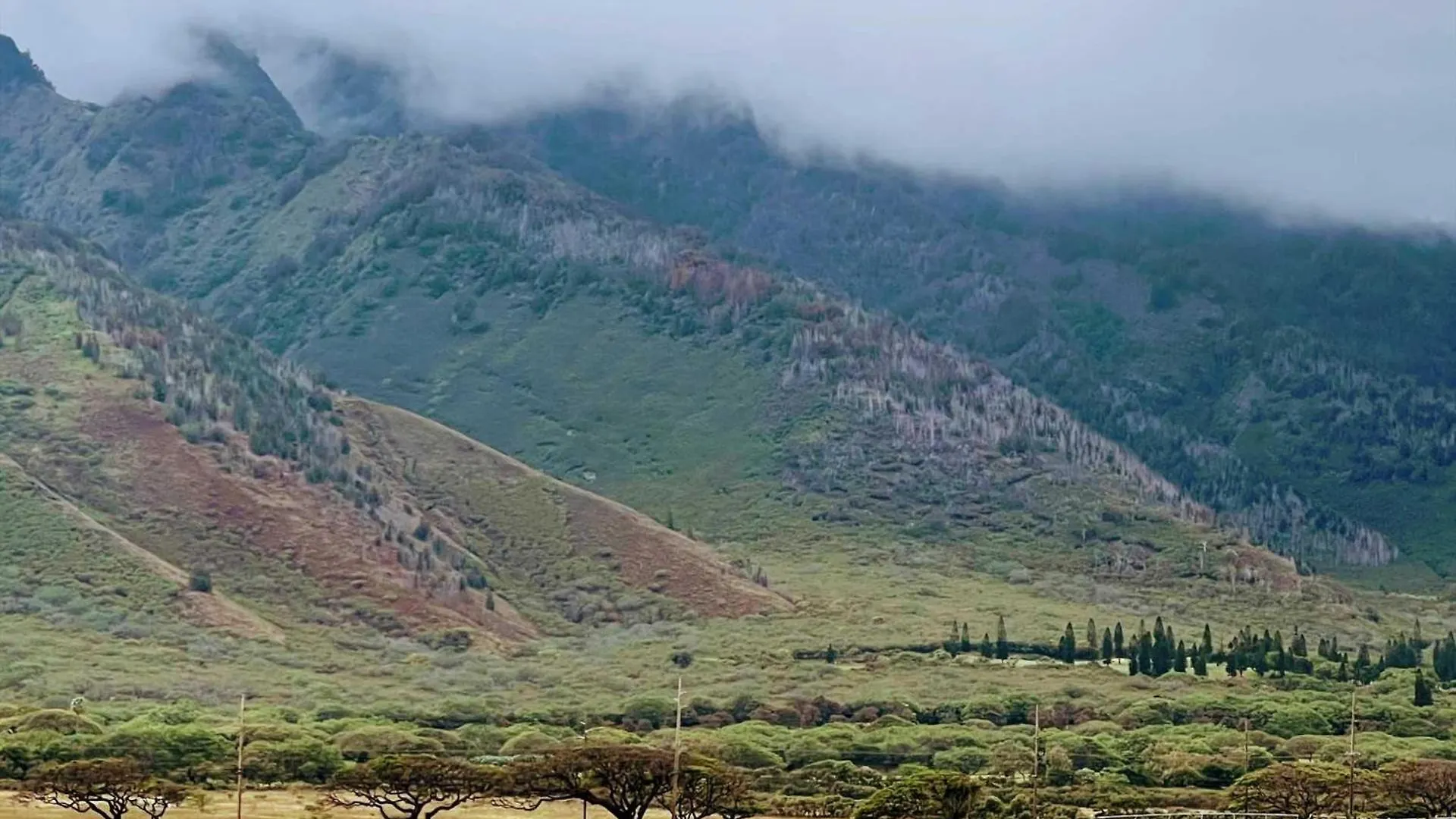 Ma'Alaea Banyans 209 Βίλα Wailuku Σπίτι διακοπών